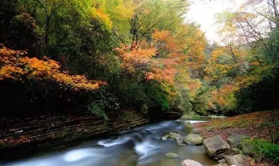 江西省药品监督管理局关于江西济民可信山禾医药有限公司恢复药品经营的公告